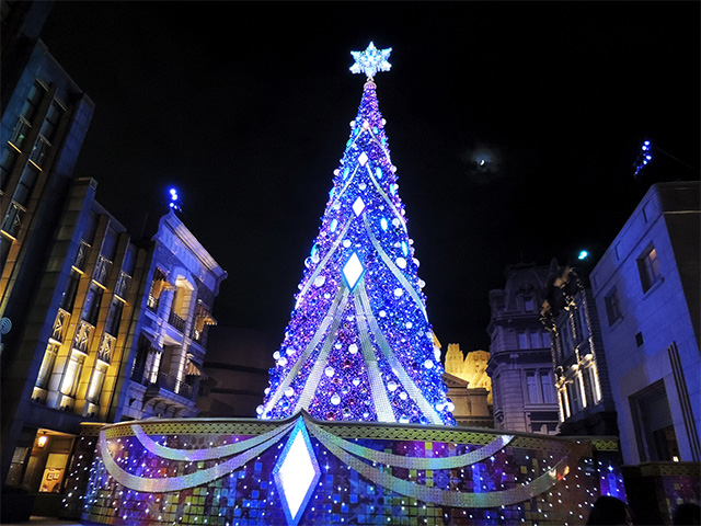 ブルー系のシックなイメージの夜のツリー/ユニバーサル・スタジオ・ジャパン(大阪府/大阪市)