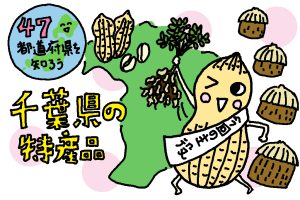 なぜ千葉県は落花生が有名なの?八街の歴史や品種、美味しい見分け方も解説|特産品おもしろ雑学