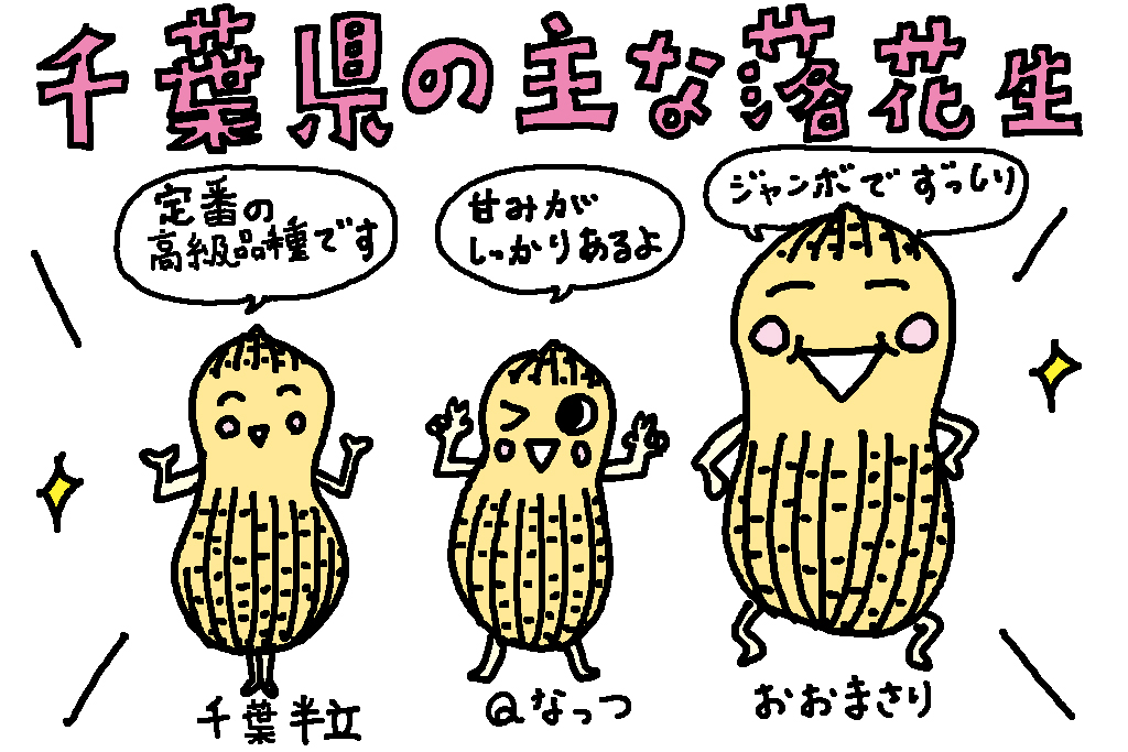 千葉県の主な落花生/千葉県の特産品