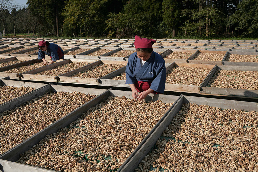 ますだの落花生(千葉県/八街市)