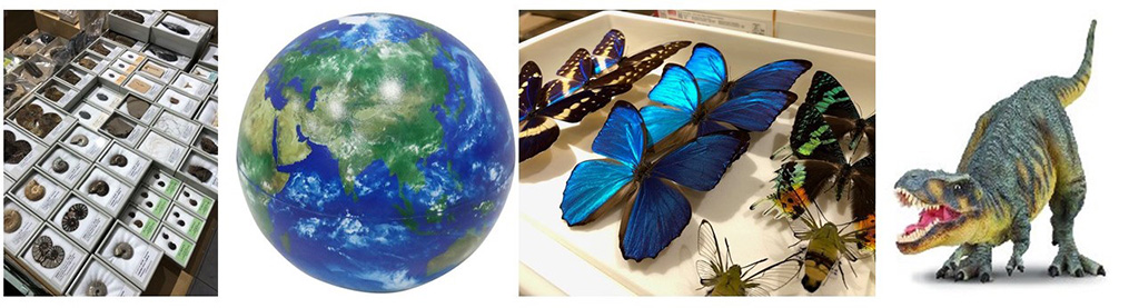 THE STUDY ROOMエキュート上野店（東京都/台東区）