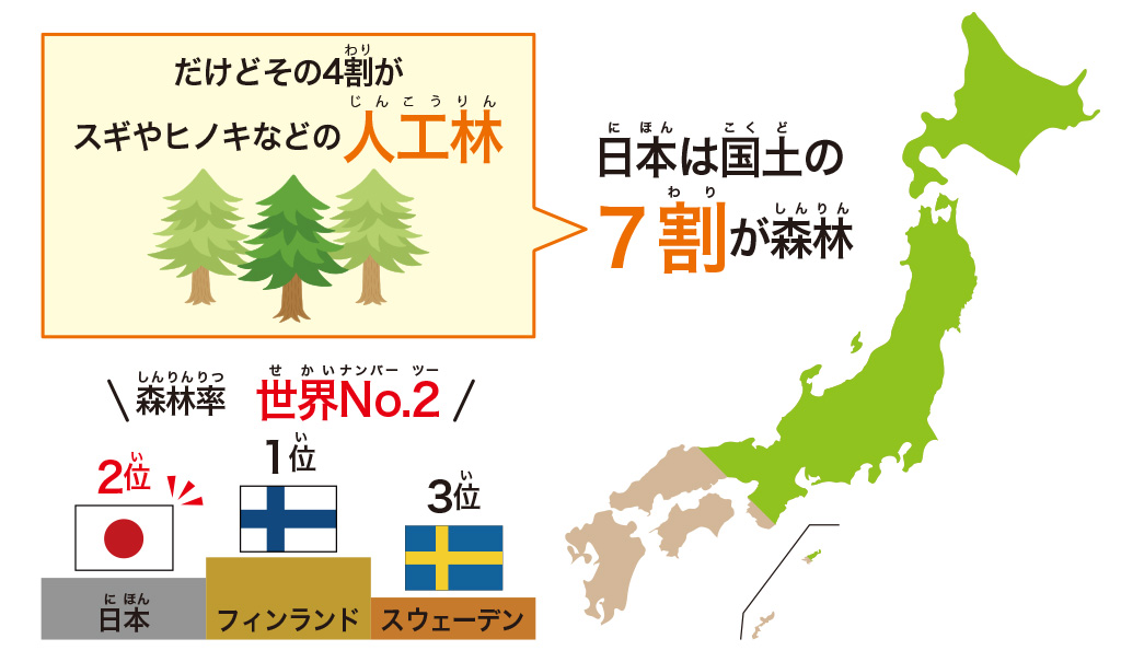 森林の人工林割合【SDGs17の目標を解説】目標⑮「陸の豊かさも守ろう」