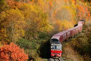貨物列車の種類やコンテナの中身、貨物専用駅って？ 親子で知りたいキホン