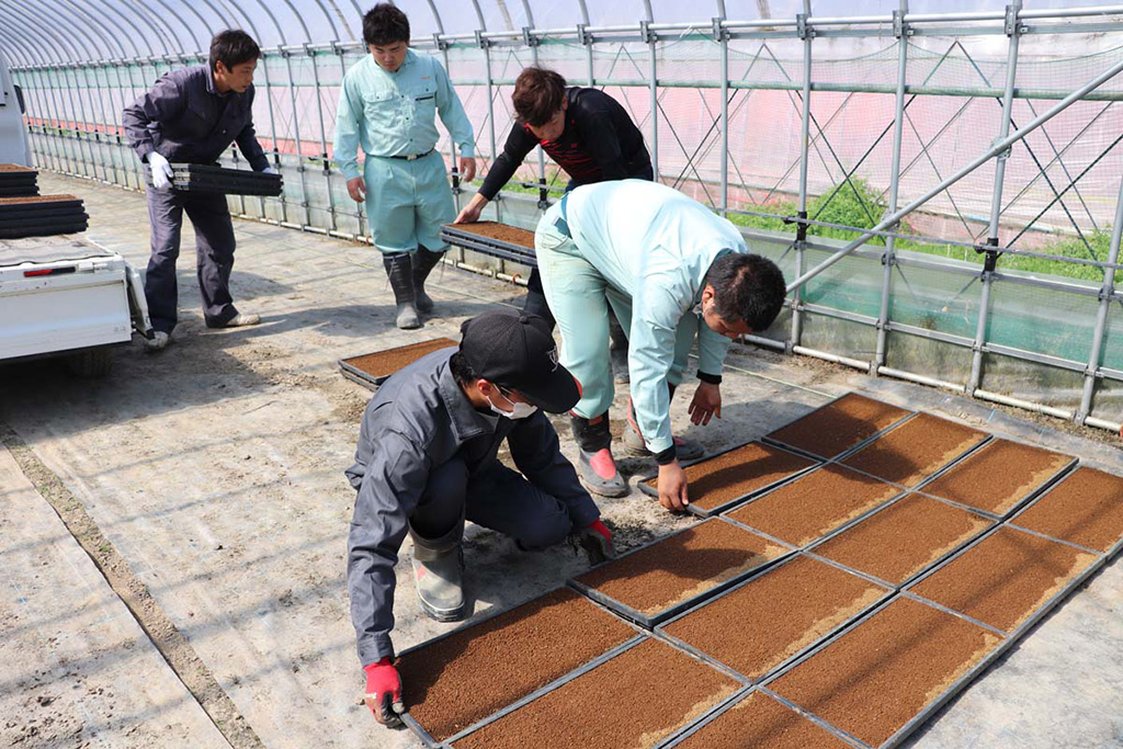 米の栽培がスタートする4月。種まきの準備作業の様子（福島県/南相馬市）