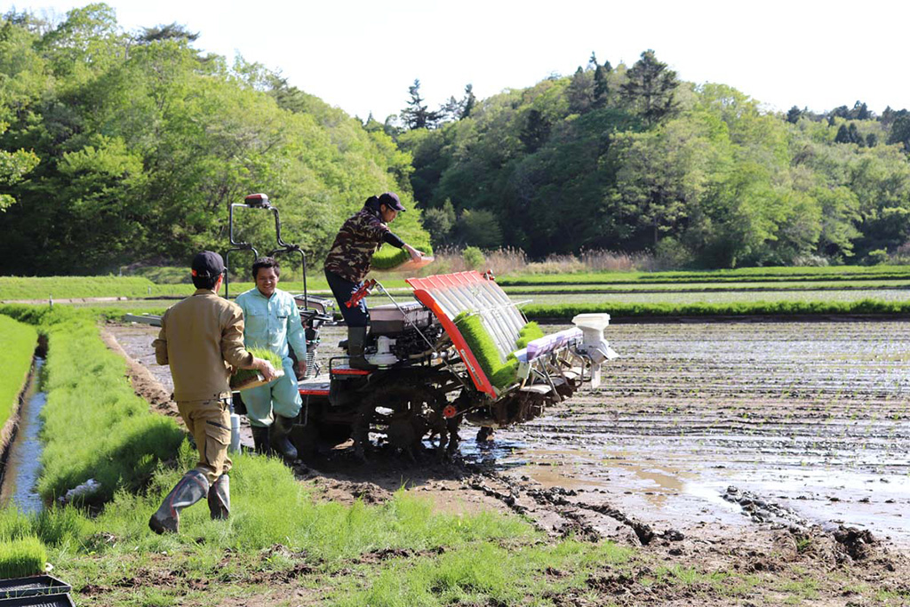 （福島県/南相馬市）