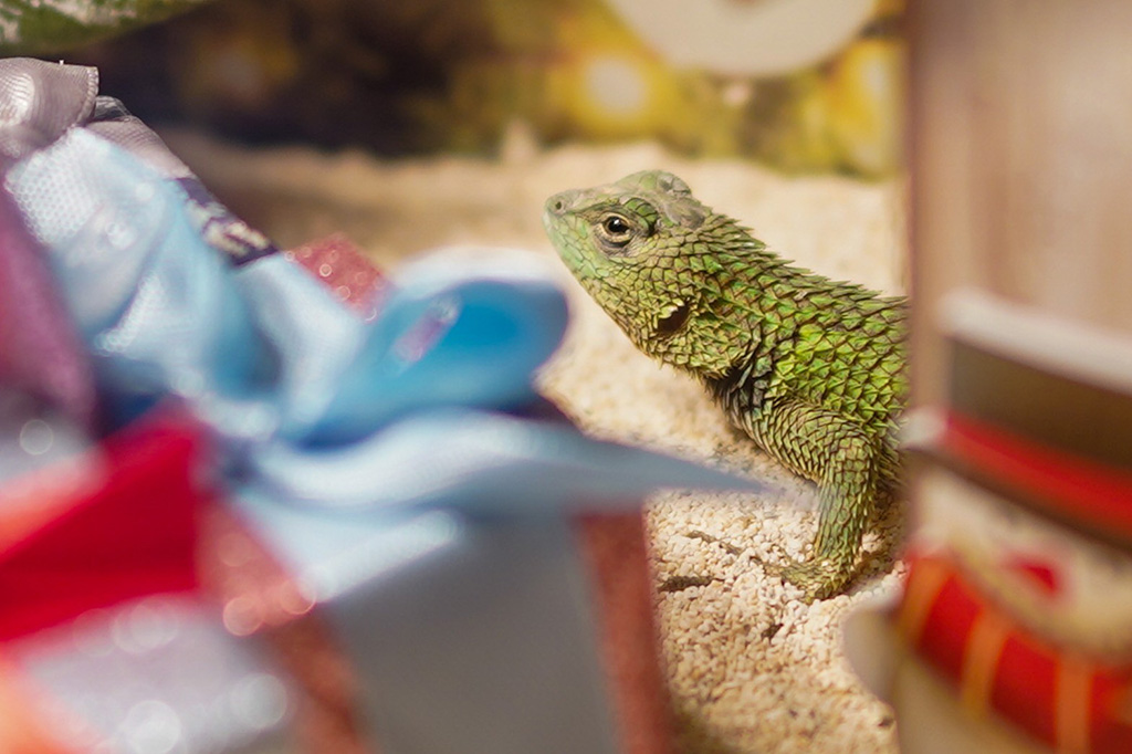 奈良いきものミュージアム(奈良県/奈良市)