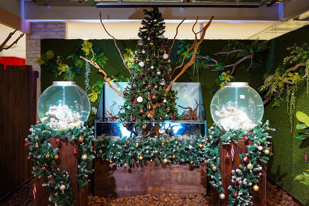 クリスマスムードたっぷりの期間限定水槽レイアウト/奈良いきものミュージアム(奈良県/奈良市)
