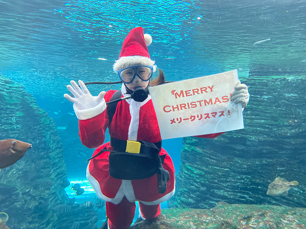 大水槽サンタダイバー給餌/上越市立水族博物館「うみがたりのクリスマス2023」（新潟県）