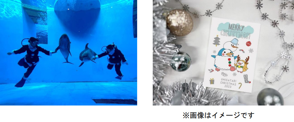 クリスマスナイト2023/上越市立水族博物館「うみがたりのクリスマス2023」（新潟県）