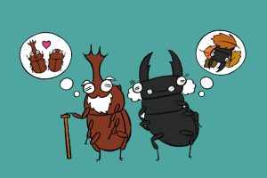 カブトムシの寿命はクワガタの寿命より短い!? オスメスの違いや長生きのコツは？