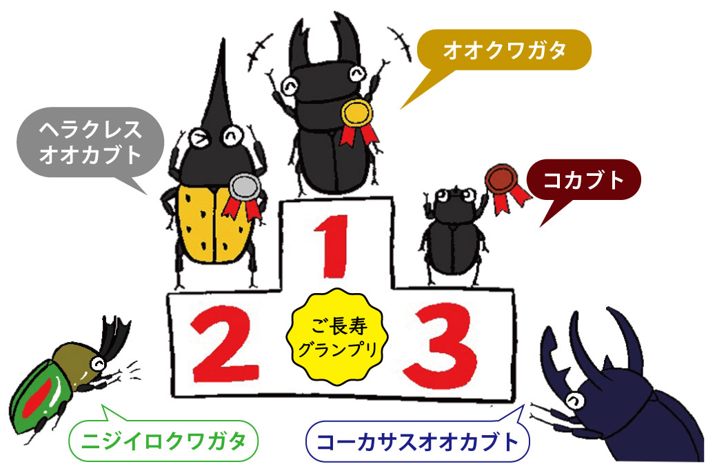 カブトムシクワガタ長寿グランプリ