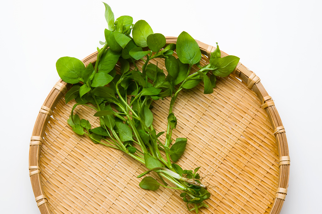 はこべら(繁縷)