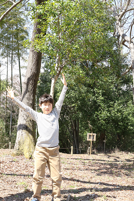 ネイチャーゲーム