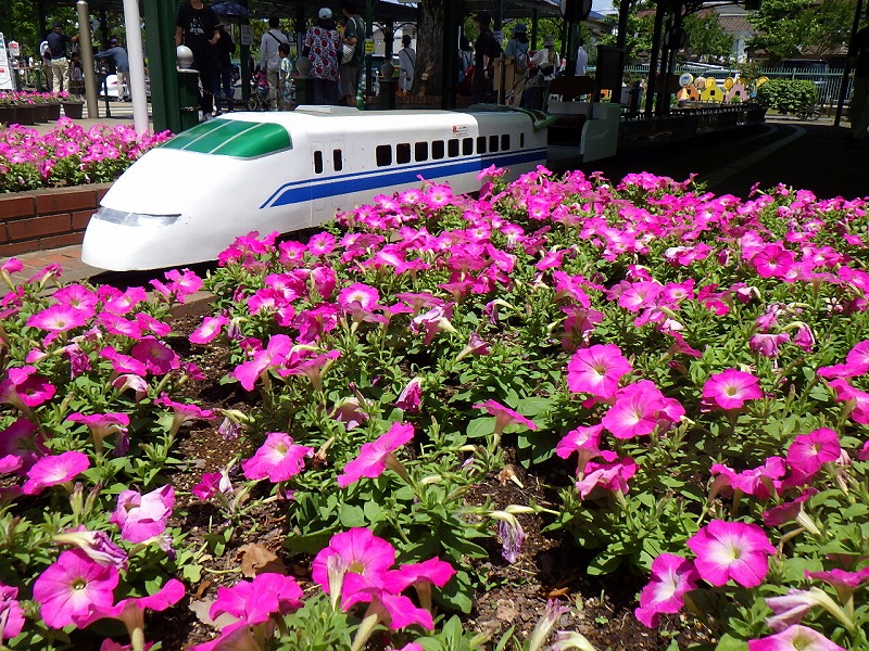 ミニ列車新幹線300系