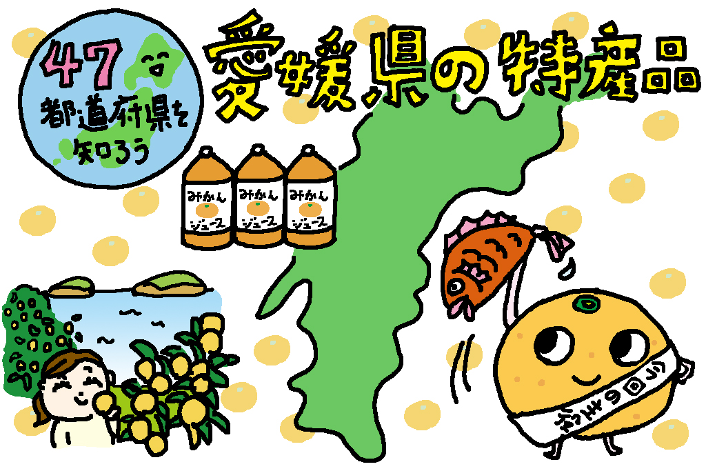 みかん/愛媛県の特産品