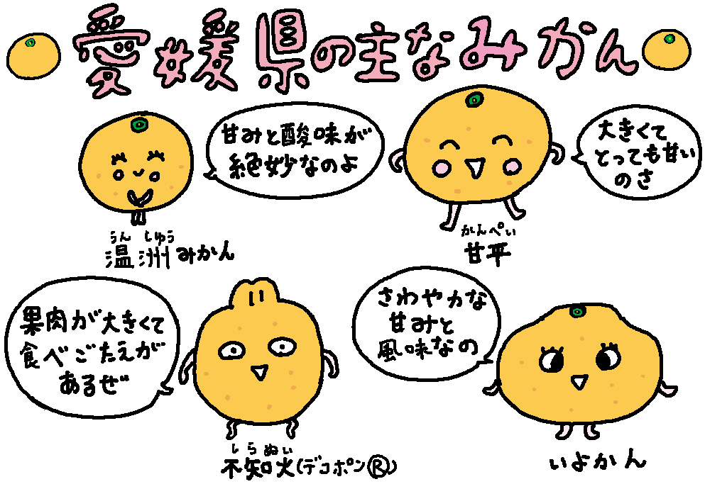 愛媛県の主なみかん