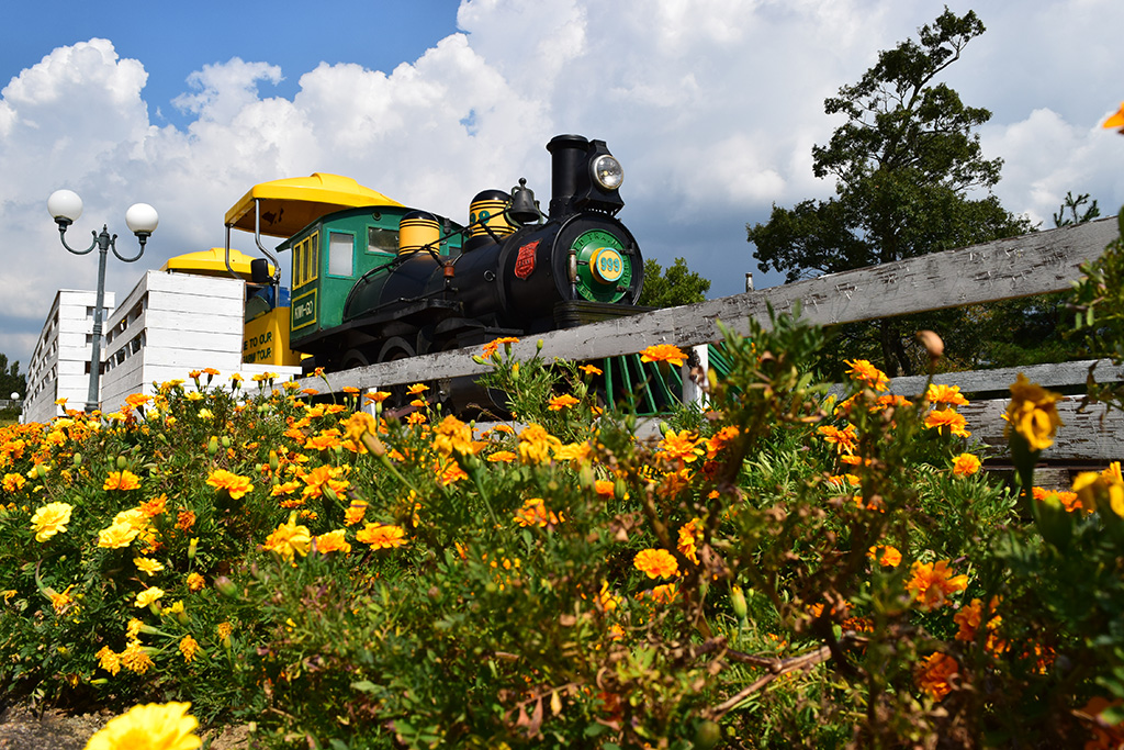 池を一周するミニSL／滋賀農業公園ブルーメの丘（滋賀県／蒲生郡日野町）