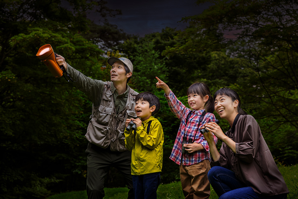 空飛ぶムササビウォッチング/ピッキオ(長野県/軽井沢町)