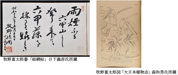 牧野の足あと ～博士と関西の仲間たち～「牧野富太郎博士の貴重な資料」/六甲高山植物園（兵庫県/神戸市）