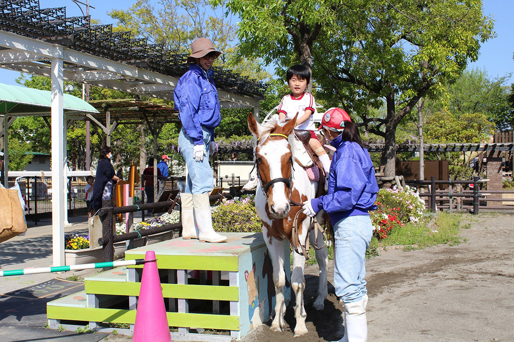 なぎさポニーランド（東京都/江戸川区）