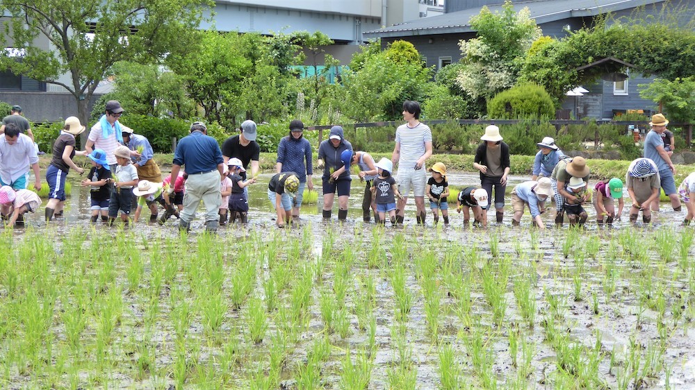 足立区都市農業公園（東京都/足立区）
