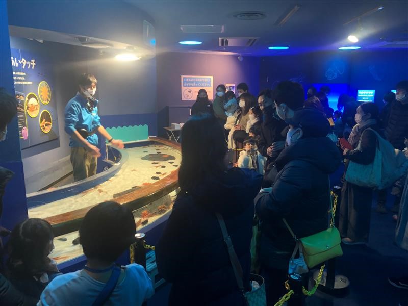 深海生物ふれあいタッチ/しながわ水族館（東京都/品川区）