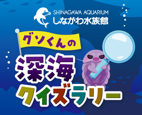 グソくんの深海クイズラリー/しながわ水族館（東京都/品川区）