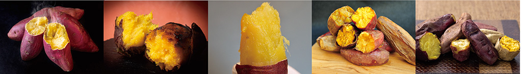 /やきいもフェス FUKUOKA 2024（福岡県/福岡市）