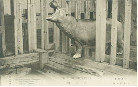 明治時代の動物園の様子｜「ガスミュージアム動物園!?」/ガスミュージアム（東京都/小平市）