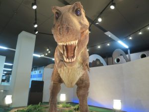 関西の恐竜の博物館・公園・テーマパーク15選(京都・大阪 ・兵庫・和歌山)