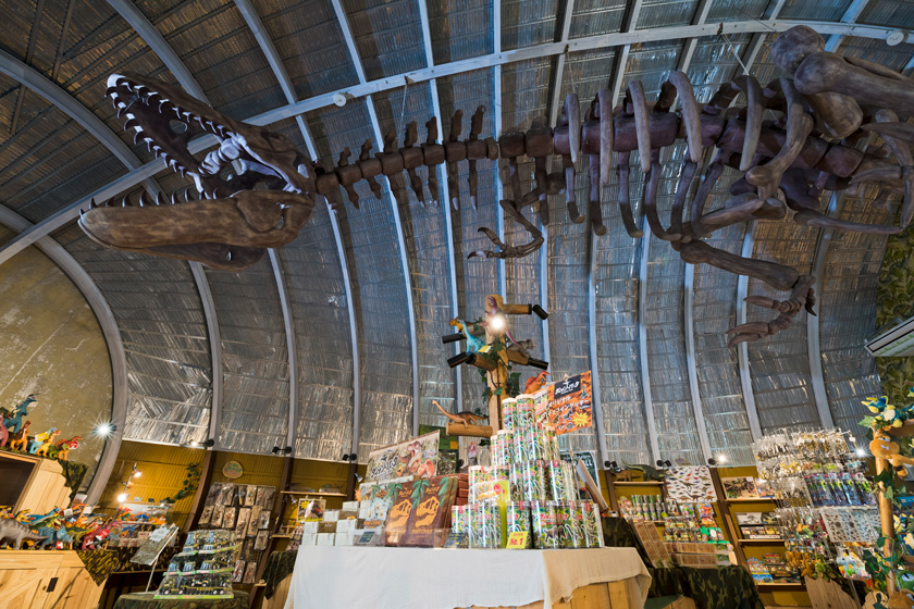 本物の化石も扱う恐竜グッズ専門店 D-Store/みろくの里 ダイナソーパーク(広島県/福山市)