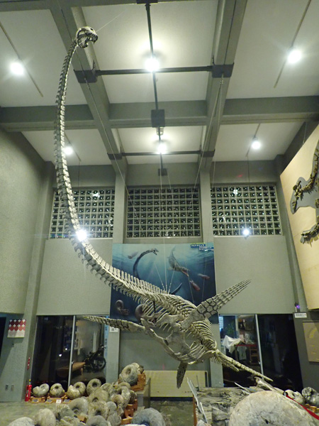 首長竜「ホベツアラキリュウ」全身復元骨格／むかわ町穂別博物館（北海道）