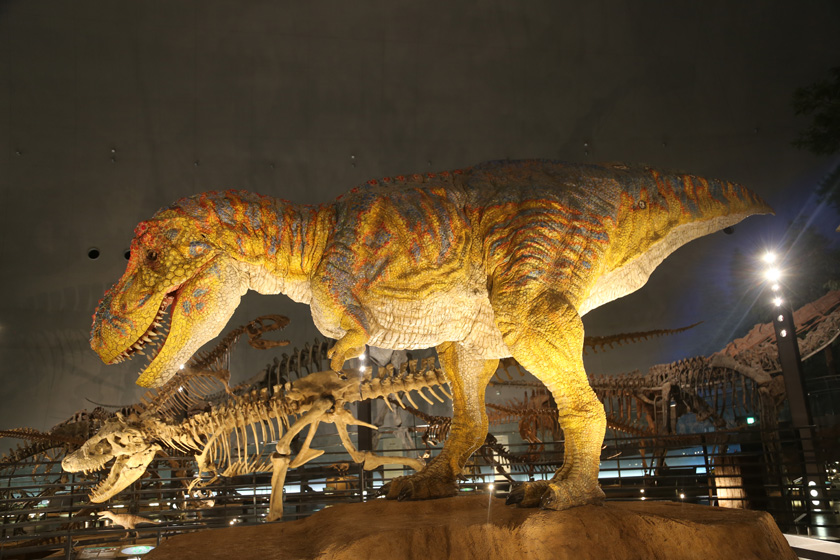 ドーム状の展示室の中央に巨大なティラノサウルスのロボットが立つ／福井県立恐竜博物館（福井県／勝山市）
