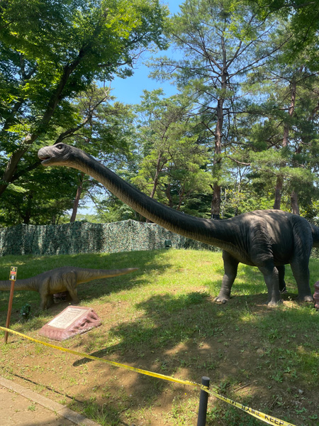 中国大陸に生息していた最大級の竜脚類マメンチサウルス／千葉こどもの国キッズダム（千葉県／市原市）