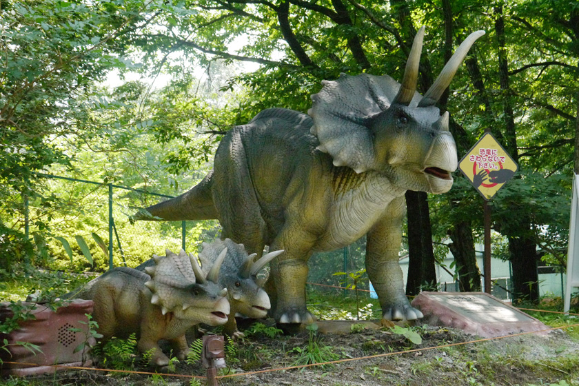 トリケラトプスの親子/那須高原りんどう湖ファミリー牧場(栃木県/那須町)