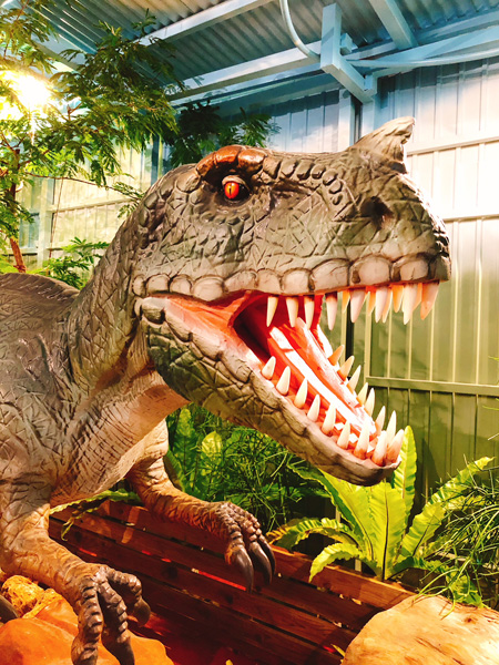 T-REX／ナゴパイナップルパーク（沖縄県／名護市）