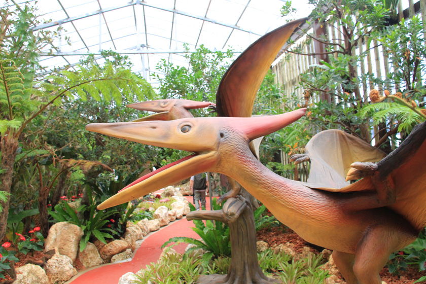 プテラノドン／ナゴパイナップルパーク（沖縄県／名護市）