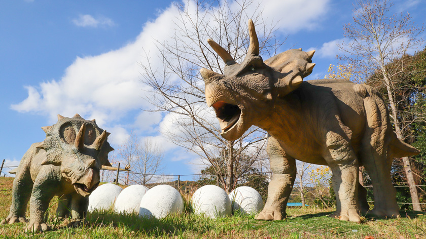 トリケラトプス／はままつフルーツパークときのすみか（静岡県／浜松市）