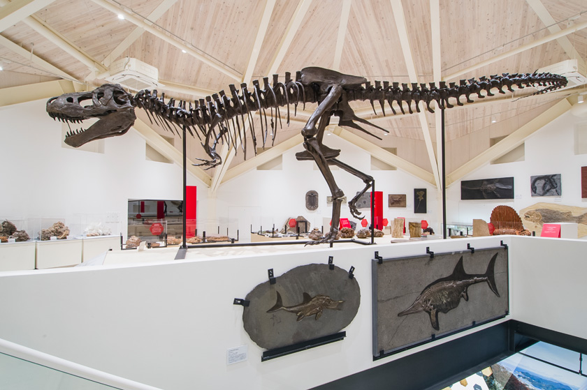 化石ゾーン内観/玄武洞ミュージアム(兵庫県/豊岡市)