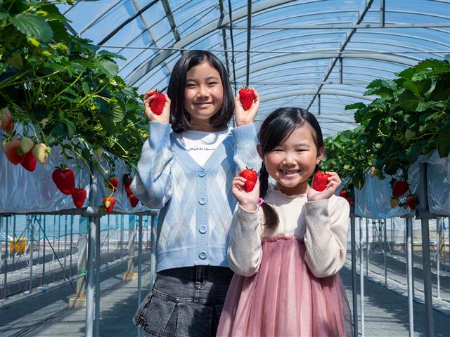 平松観光アグリス浜名湖（静岡県／浜松市中央区）
