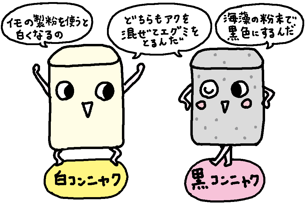 コンニャクはどうやって作られるの？/群馬県の特産品【こんにゃく】