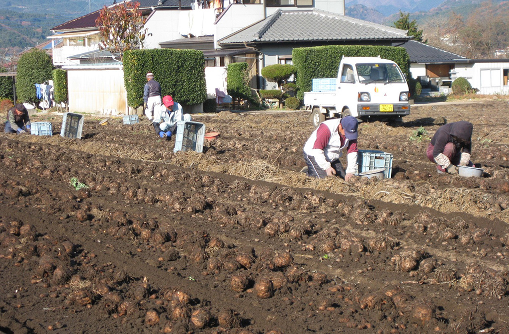小山農園（群馬県/東吾妻町）