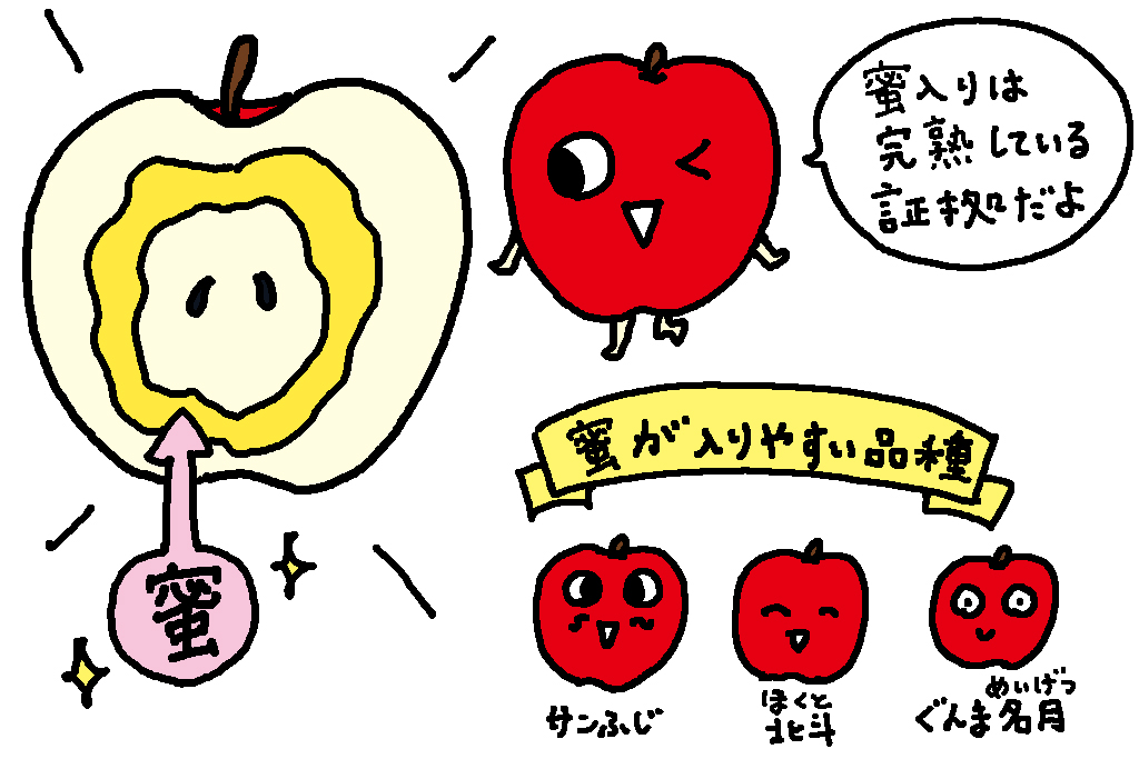 青森県の特産品【りんご】