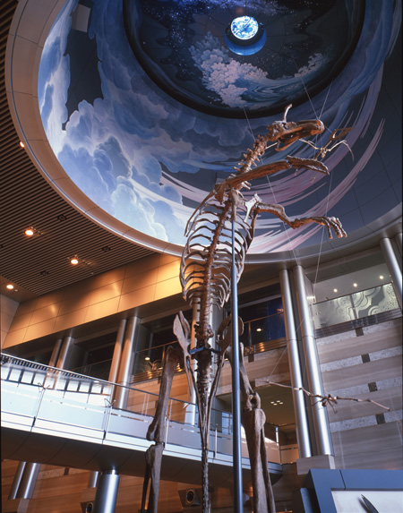 エントランスホールのチンタオサウルス／神奈川県立生命の星・地球博物館