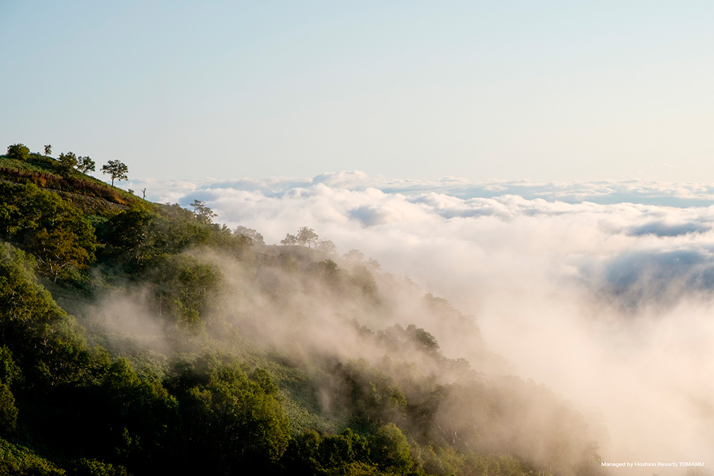 クラブメッド・北海道 トマム（北海道）