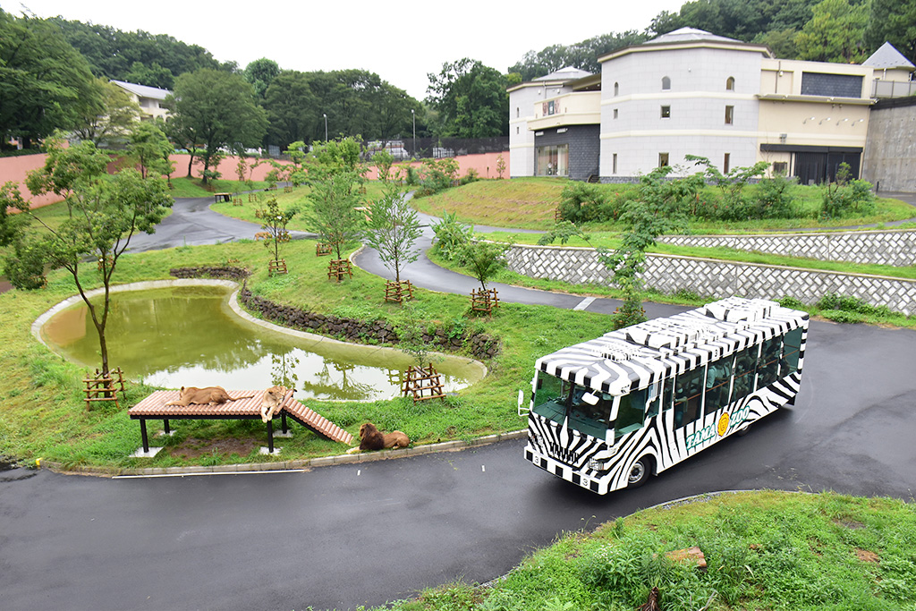 ライオンバス/東京都多摩動物公園（東京都／日野市）