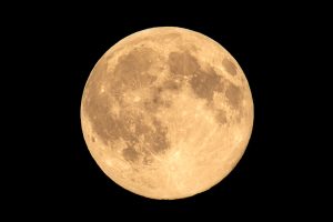 4月の満月、ピンクムーンはいつ見られる？ 時間や方角、名前の意味をわかりやすく解説