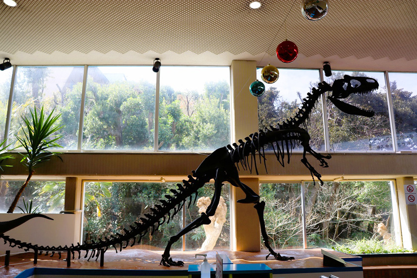 「アロサウルス」の骨格標本/白浜エネルギーランド（和歌山県/白浜町）