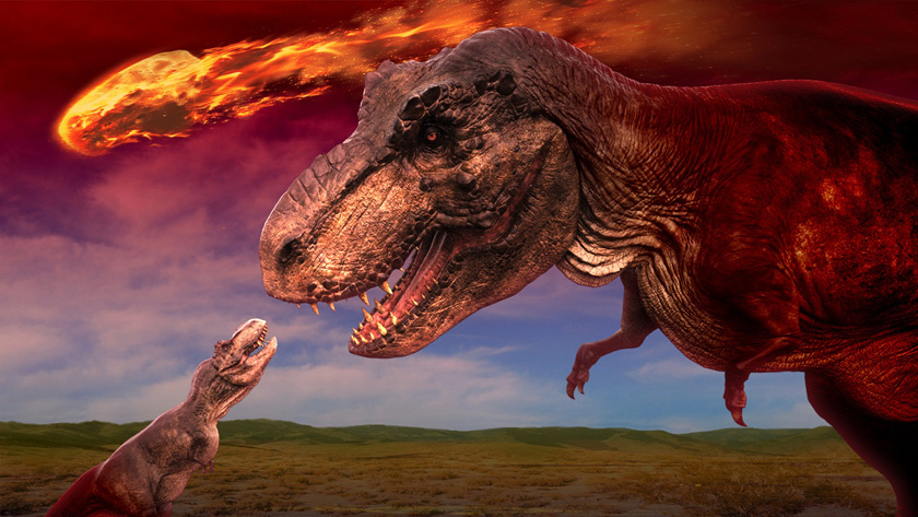 ジュラシックツアーの様子/白浜エネルギーランド（和歌山県/白浜町）