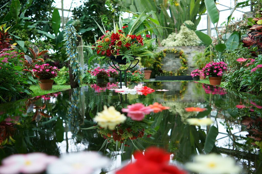 熱帯植物室/兵庫県立フラワーセンター(兵庫県/加西市)